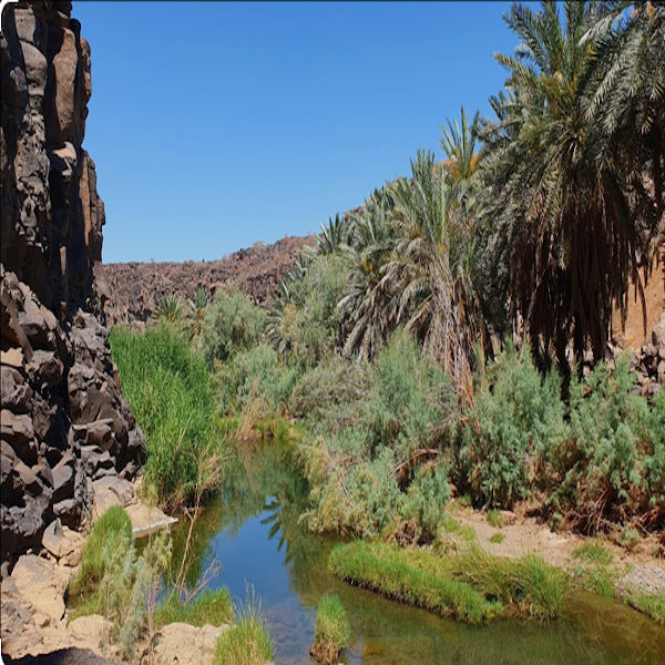 Wadi Al-Farah Trip