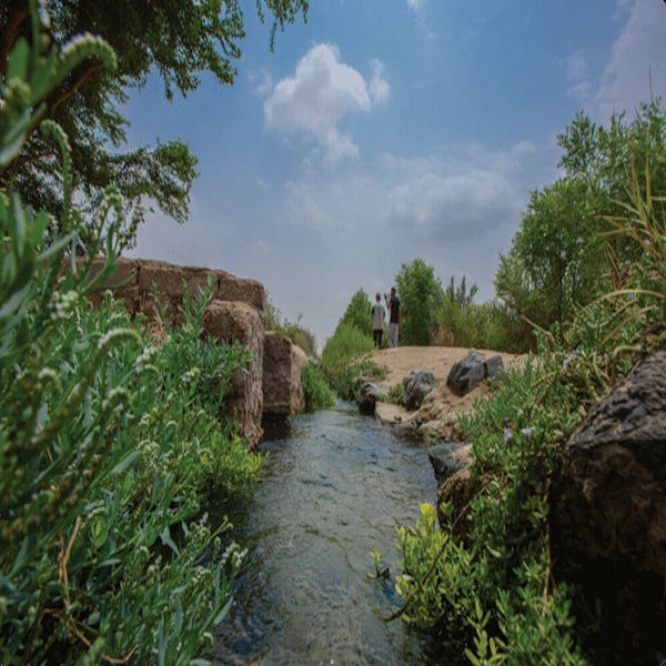 Yanbu Al-Nakhil
